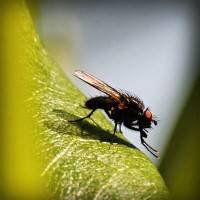 /album/consuma-ceai-verde/photolia-a04-jpg/