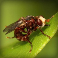 /album/consuma-ceai-verde/photolia-a06-jpg/